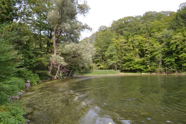 1400 Narrows Lock Road Upper Rideau Lake Waterfront Acreage Gurreathomes