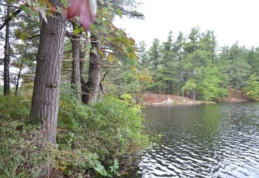 Camerons Lake Lot, Waterfront, Camerons Lake, Gurreathomes.com