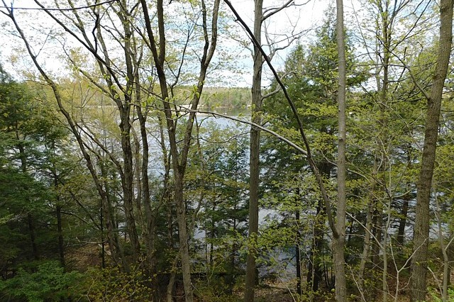 Cheese Factory Lane Lot 1, South Frontenac, Loon Lake, Ontario, Gurreathomes.com