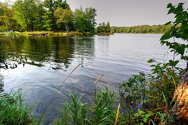 Timmerman Road Lot, Sand Lake, Westport, Gurreathomes