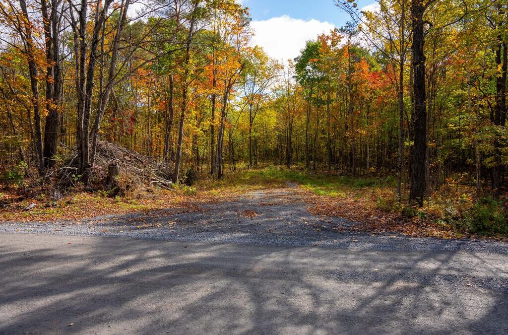 PT Lots 12 & 13 Devil Lake Road, South Frontenac