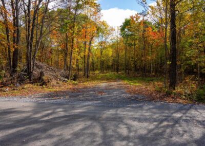 PT Lots 12 & 13 Devil Lake Road, South Frontenac