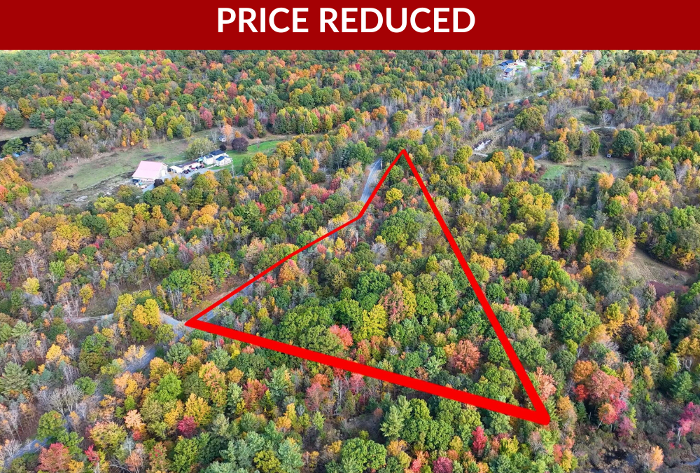 PT Lots 12 & 13 Devil Lake Road, South Frontenac