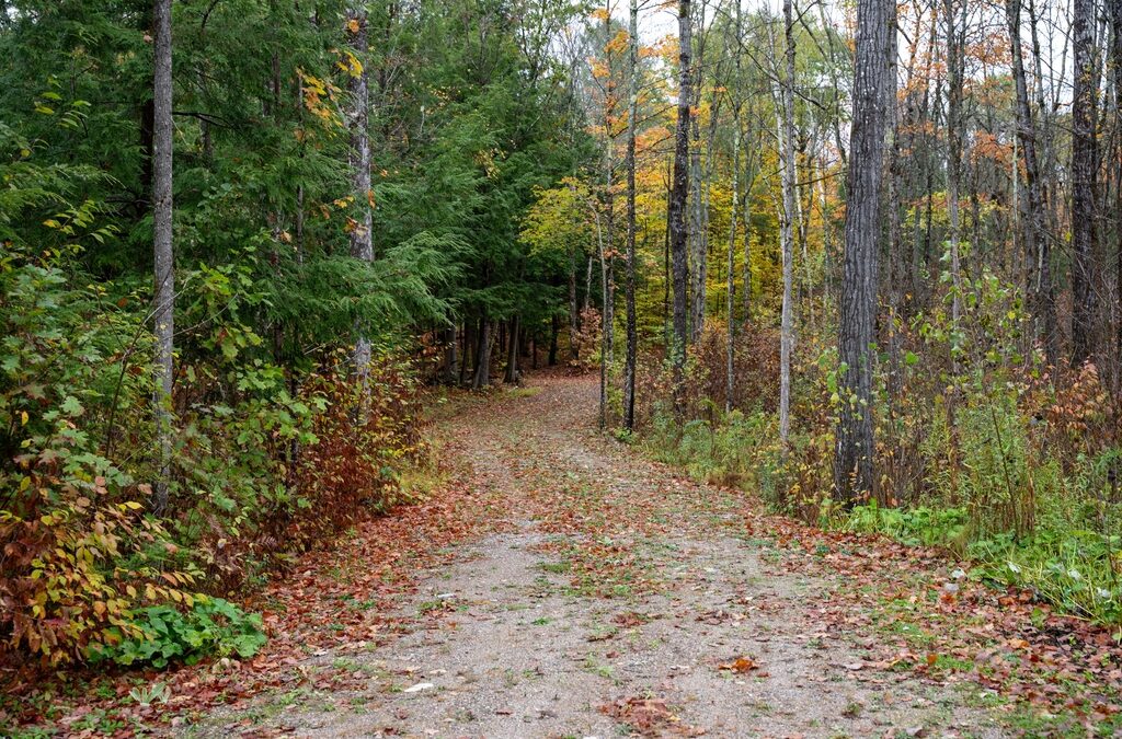 1060 Nordic Road, Frontenac