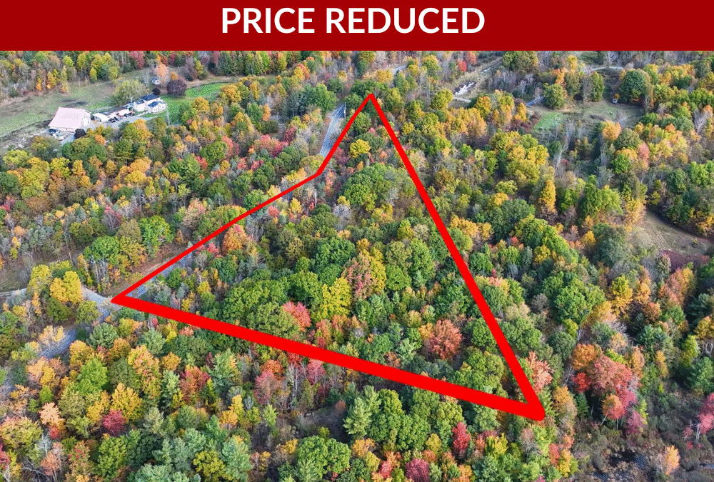 PT Lots 12 & 13 Devil Lake Road, South Frontenac