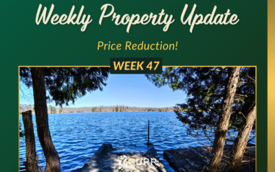 Weekly Property Update for Week 47, 2025