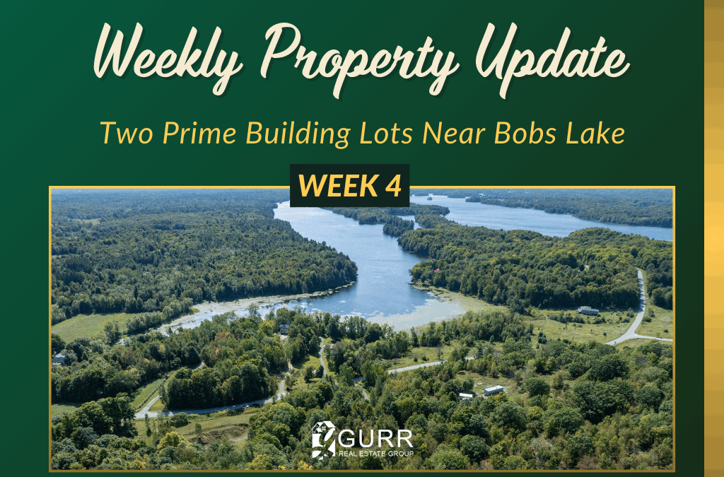 Two Prime Building Lots Near Bobs Lake