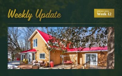 New Waterfront Listings Near Westport, Ontario