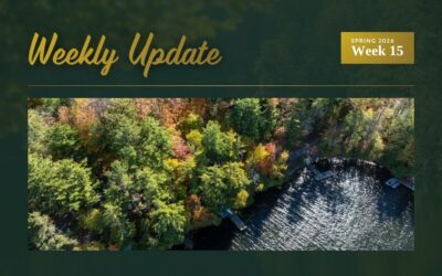 New Waterfront & Land Listings Near Westport, Ontario