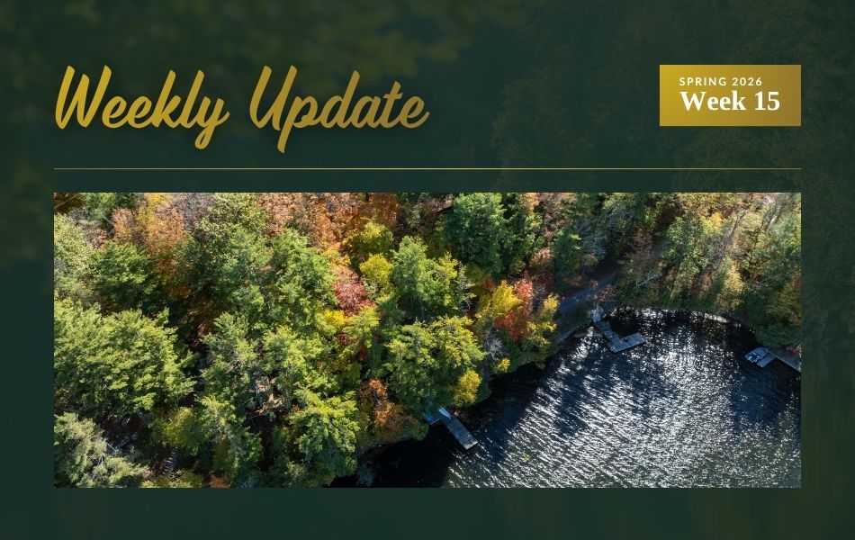 New Waterfront & Land Listings Near Westport, Ontario