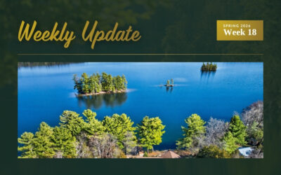 New Listing on Buck Lake + Price Reductions in Eastern Ontario