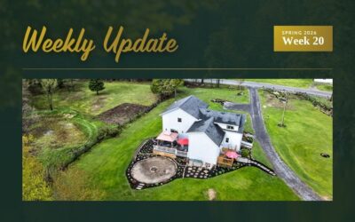 New Country Home Near Westport + Price Reduction on Buck Lake