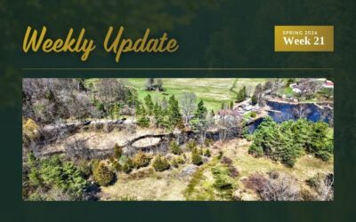 New Waterfront Listings on White Lake, Upper Rideau Lake & Kennebec Lake