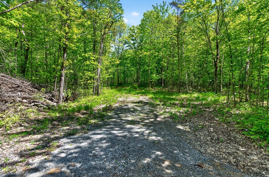 PT Lots 12 & 13 Devil Lake Road, South Frontenac