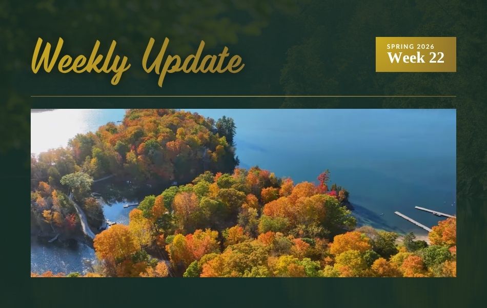 Three New Bobs Lake Listings from Cottage to Estate