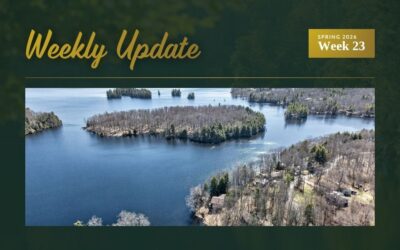New Listing in Kingston Plus Four Price Reductions Across Eastern Ontario