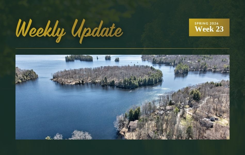 New Listing in Kingston Plus Four Price Reductions Across Eastern Ontario