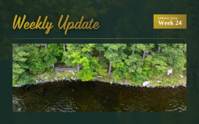 New Waterfront Listing on Burridge Lake Plus Two Price Updates