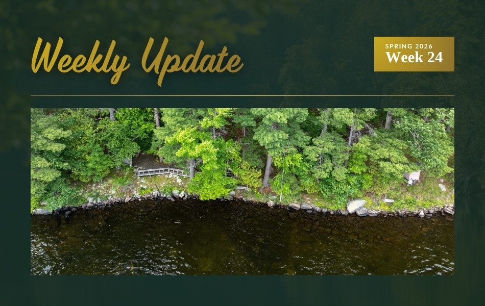 New Waterfront Listing on Burridge Lake Plus Two Price Updates