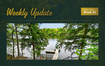 New Listings on Whitefish Lake and White Lake Plus Open House
