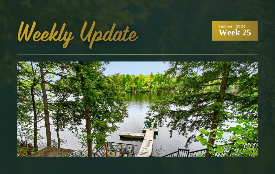 New Listings on Whitefish Lake and White Lake Plus Open House