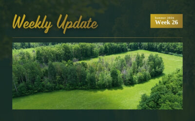 New Country Property Listing Plus Four Price Updates Across Eastern Ontario