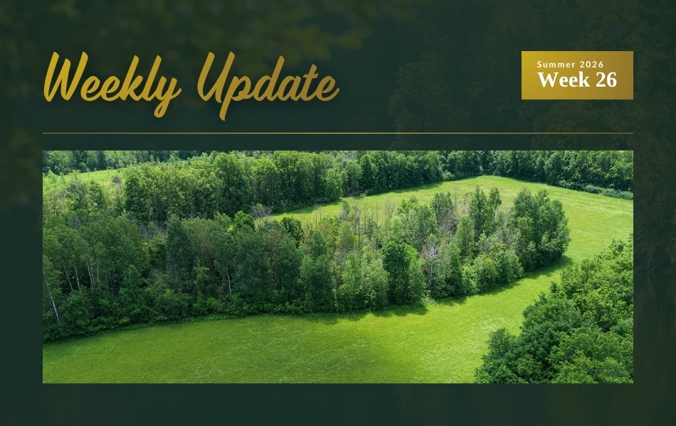 New Country Property Listing Plus Four Price Updates Across Eastern Ontario