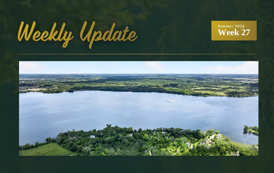 New Listings on Newboro Lake, Rideau Canal and Buck Lake