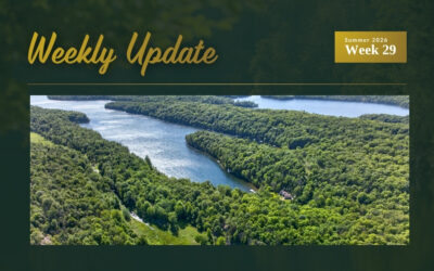 New Buck Lake Waterfront Listing Plus Price Updates Near Westport