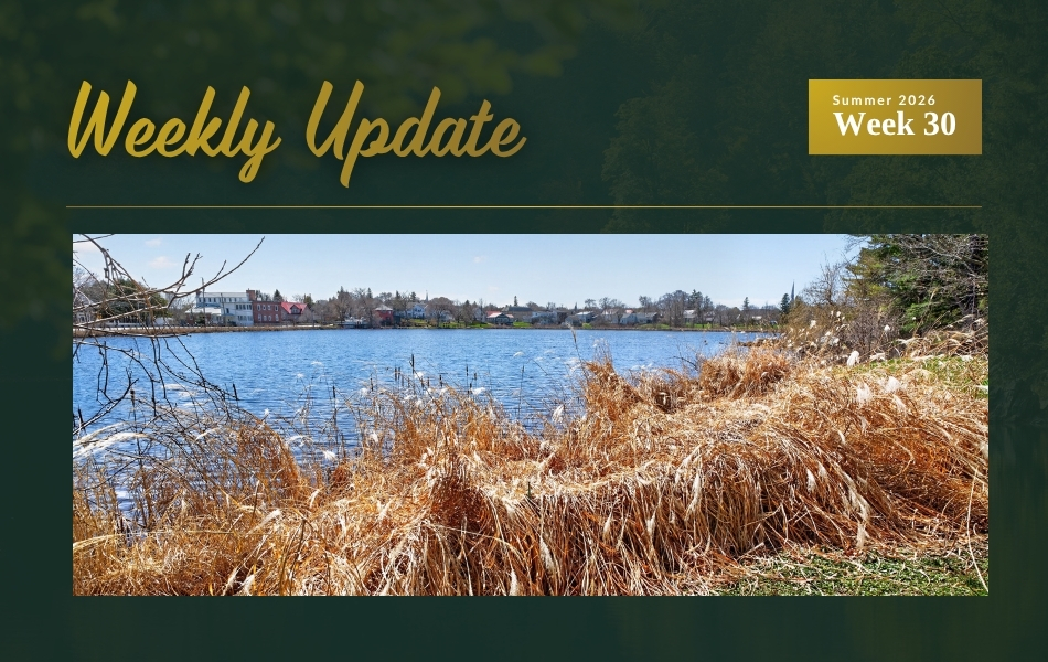 Three Price Updates on Westport Pond, Sharbot Lake Island, and Wolfe Lake