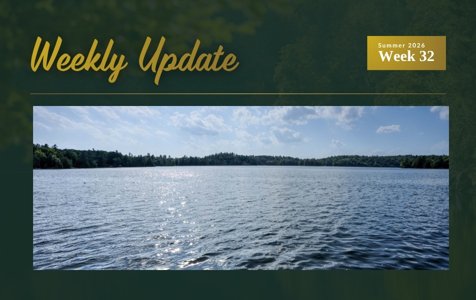 New Listings on Opinicon Lake, in Kingston and in Perth