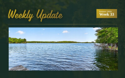 Price Updates on Crosby Lake, Opinicon Lake and Crow Lake