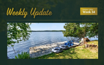 New Island Cottage on Buck Lake, Seven Price Updates, and Four Sold