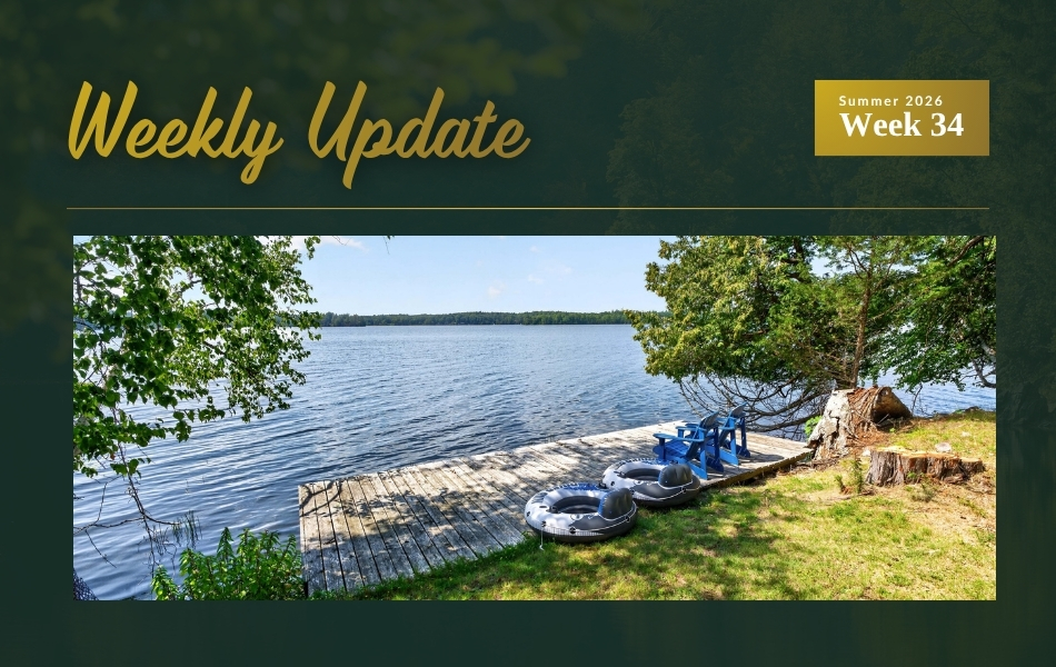 New Island Cottage on Buck Lake, Seven Price Updates, and Four Sold