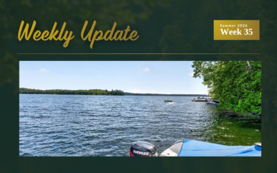 New Four-Season Waterfront on Bobs Lake, Commercial Building in Westport, and a Kingston Price Update