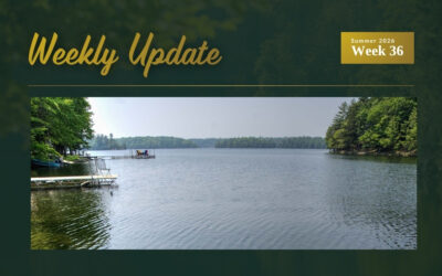 New Cottage Listing on Buck Lake Price Updates and Sold in Kingston