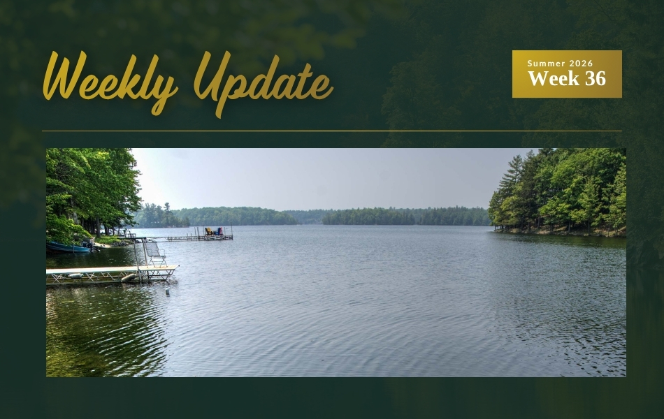 New Cottage Listing on Buck Lake Price Updates and Sold in Kingston