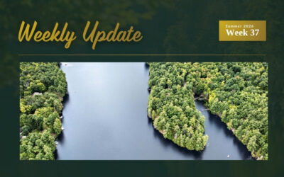 New Waterfront Listings on Carnahan Lake and Benson Lake, Open House on Buck Lake, and Two Price Updates
