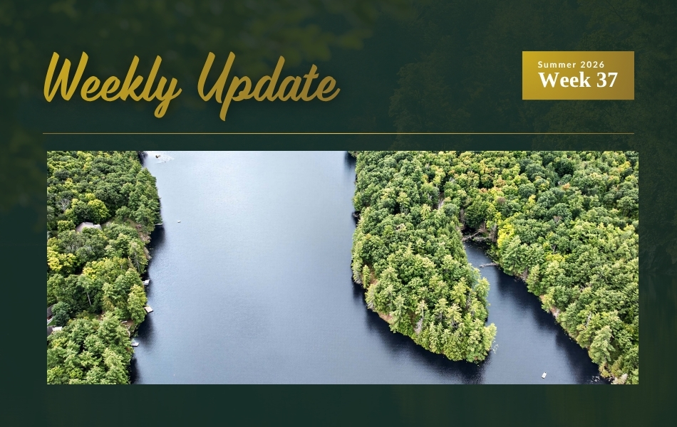 New Waterfront Listings on Carnahan Lake and Benson Lake, Open House on Buck Lake, and Two Price Updates