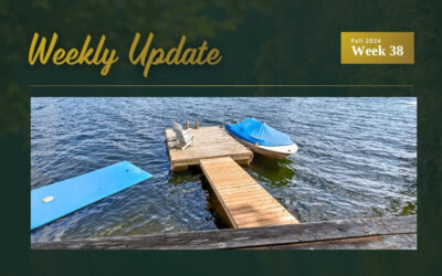 New Waterfront Listing on Opinicon Lake, Price Update in Kingston, and Two Sold