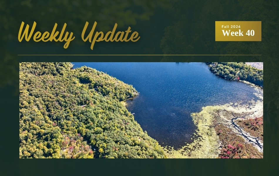 New Waterfront Land on Sharbot Lake Plus Price Updates on Bobs Lake and Near Brighton