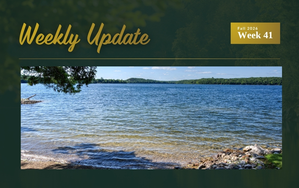 Fractional Ownership on Wolfe Lake Plus Price Updates Near Westport and White Lake