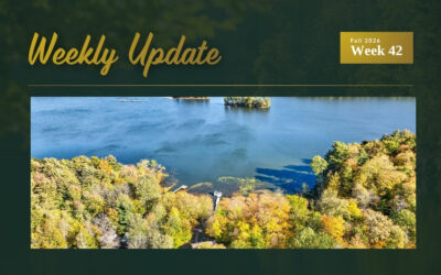 Two New Waterfront Listings on Buck Lake and Troy Lake Plus Kingston Price Update