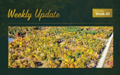 Cabin Near Westport, Wolfe Lake Fractional Villa & Kingston Price Update