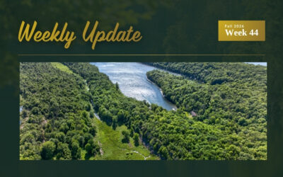 Buck Lake Spotlight: Four Waterfront Cottages from $299,000 to $849,000